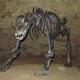 A cave bear skeleton